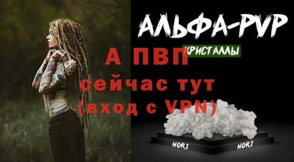 марки lsd Покачи