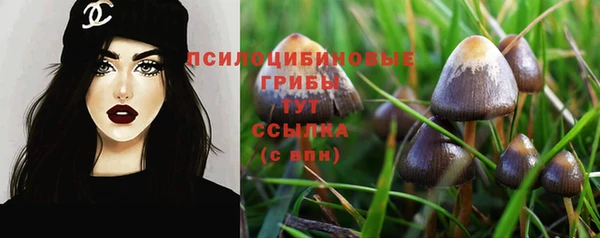 прущая мука Покров