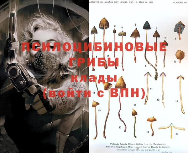 экстази Покровск
