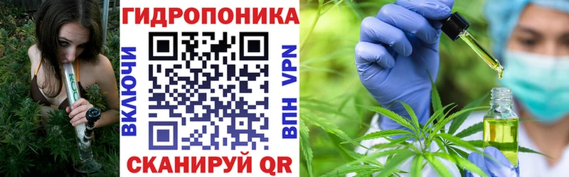 Марихуана MAZAR  Купить закладки  Сорск 
